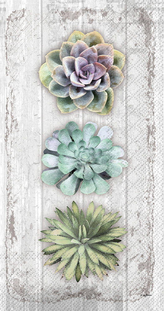 Toalla de invitados con suculentas y naturaleza muerta