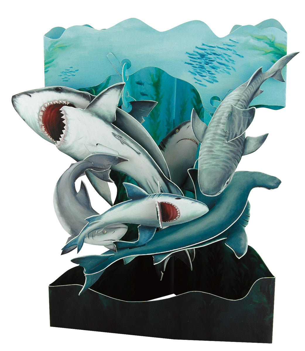Tarjeta Shark Swing