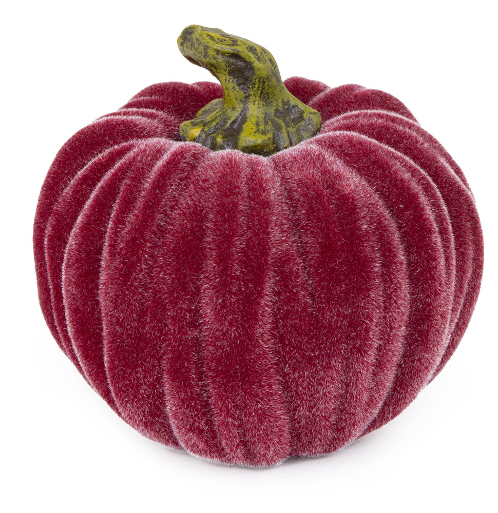 Calabaza pequeña de terciopelo burdeos