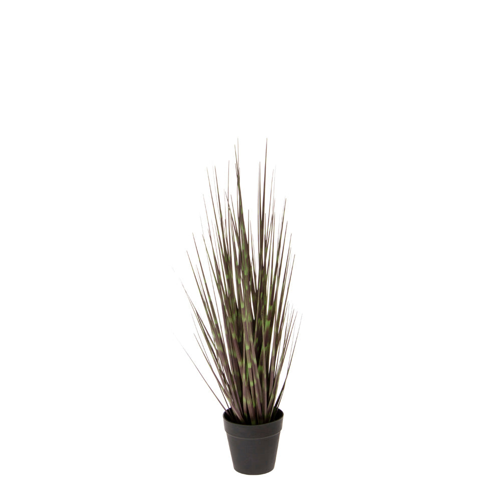 Maceta pequeña de hierba cebra de 21 pulgadas, color negro