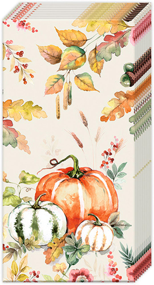 Pañuelos de bolsillo Pumpkin Love Cream