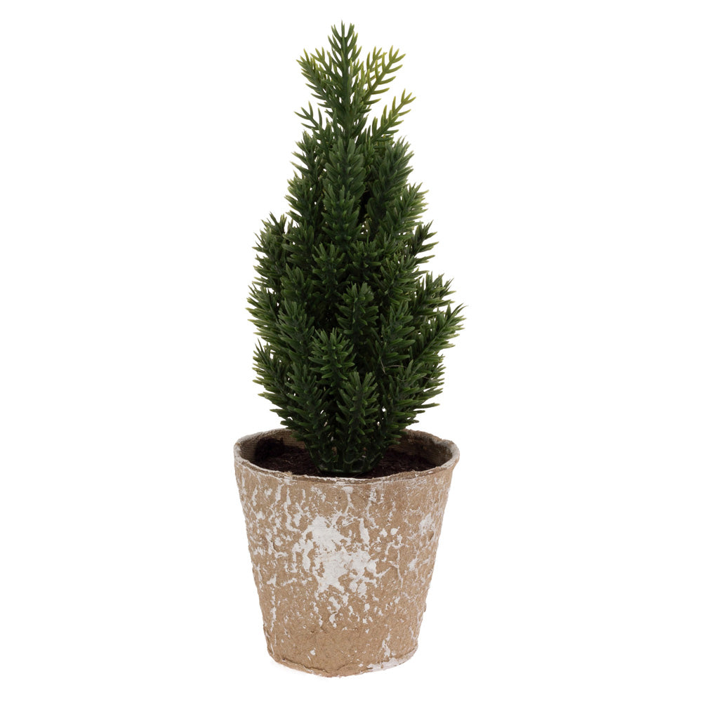 Mini Paper Pot Plain Pine Tree