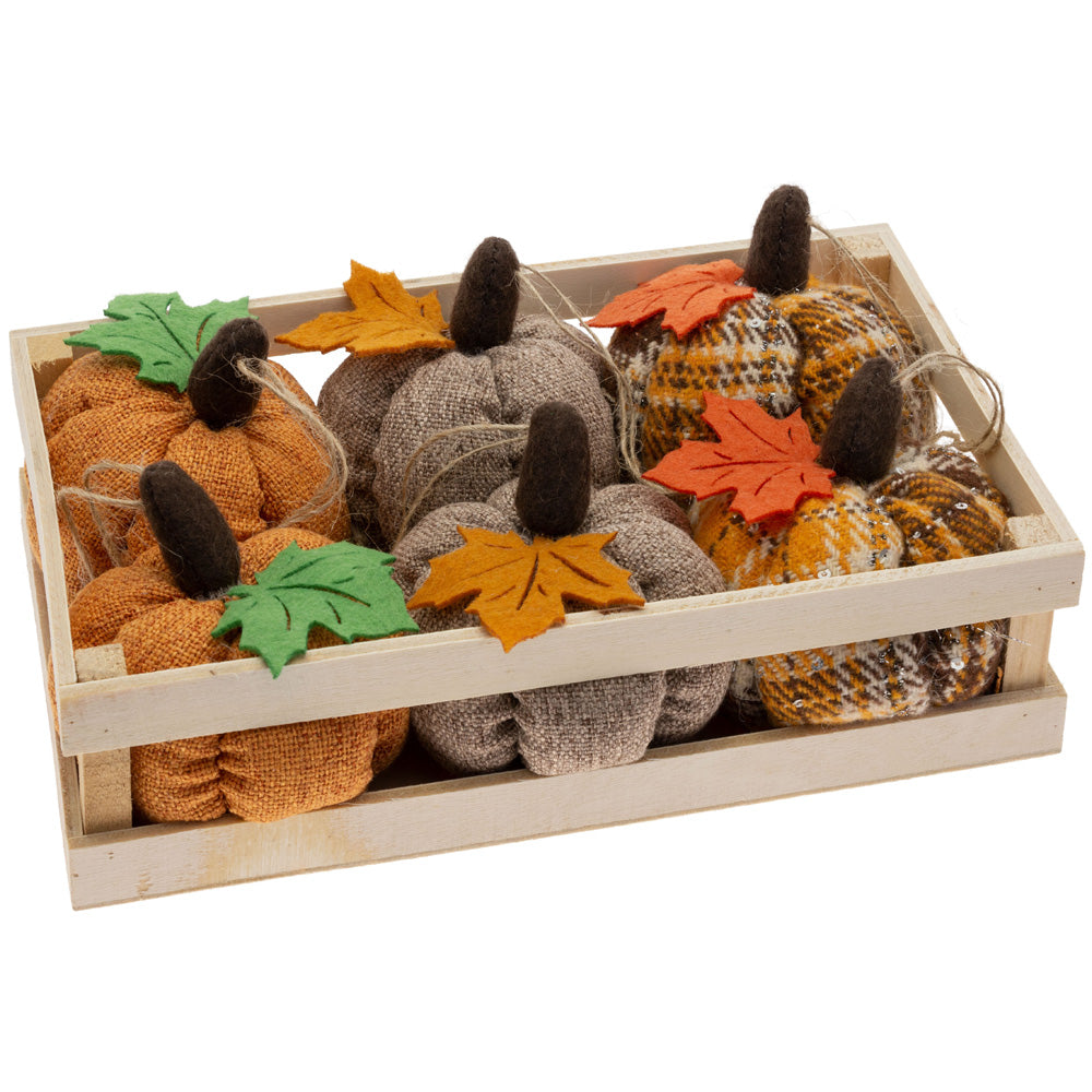Calabazas de peluche de otoño en caja (juego de 6)
