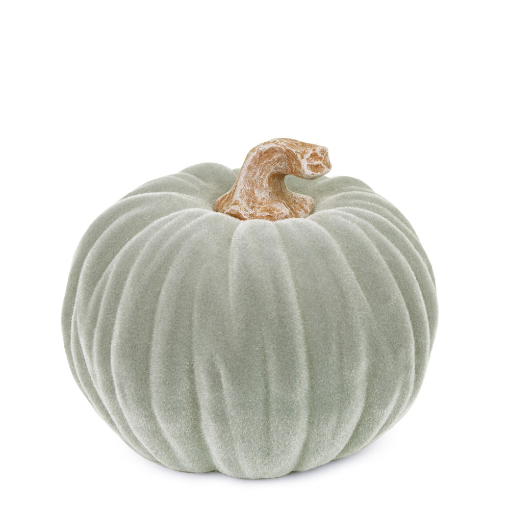 Terciopelo mediano gris calabaza