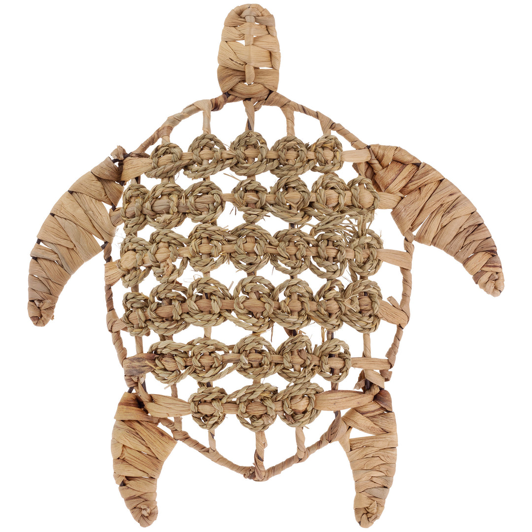 Tortuga marina arremolinada grande