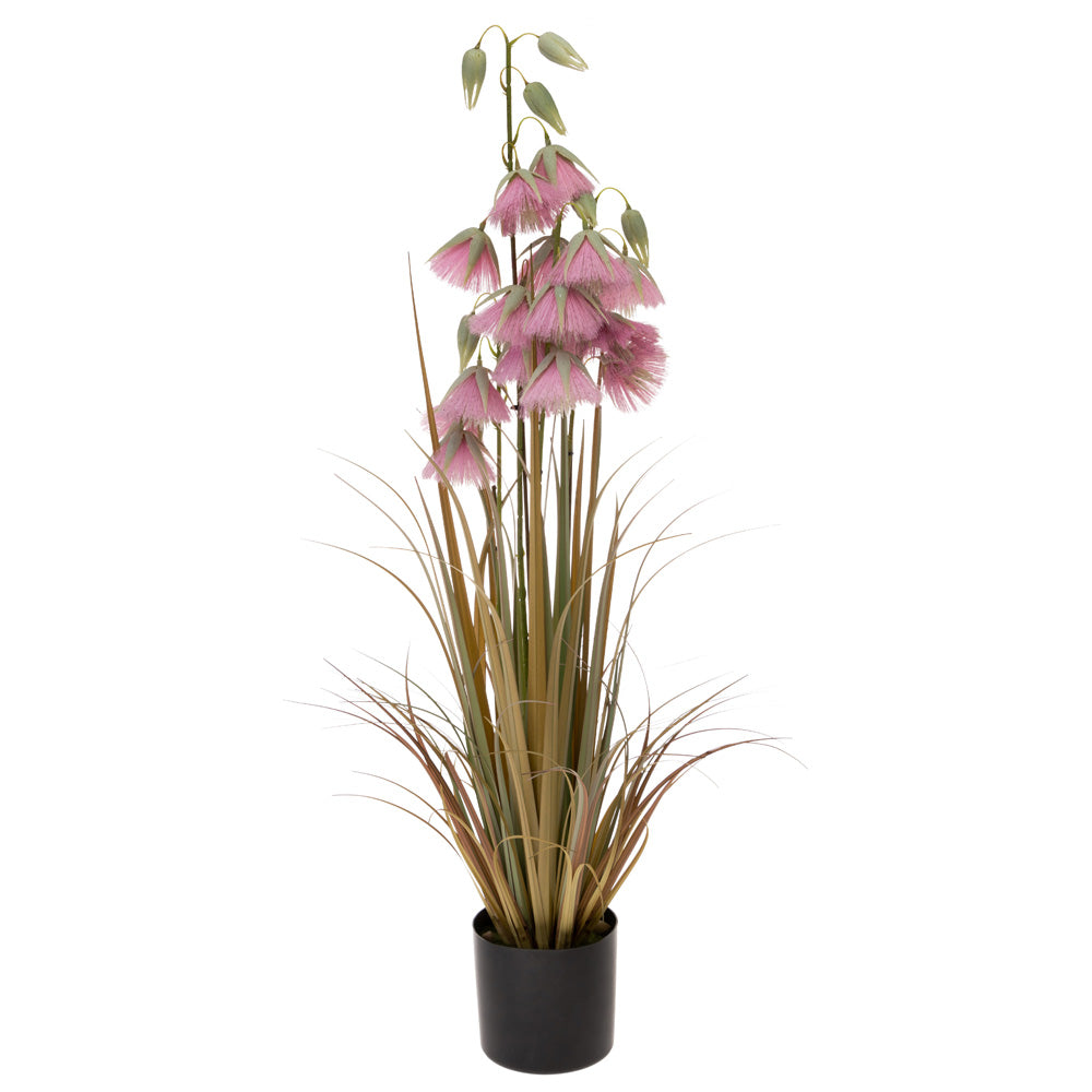 Hierba de flores de princesa malva 33