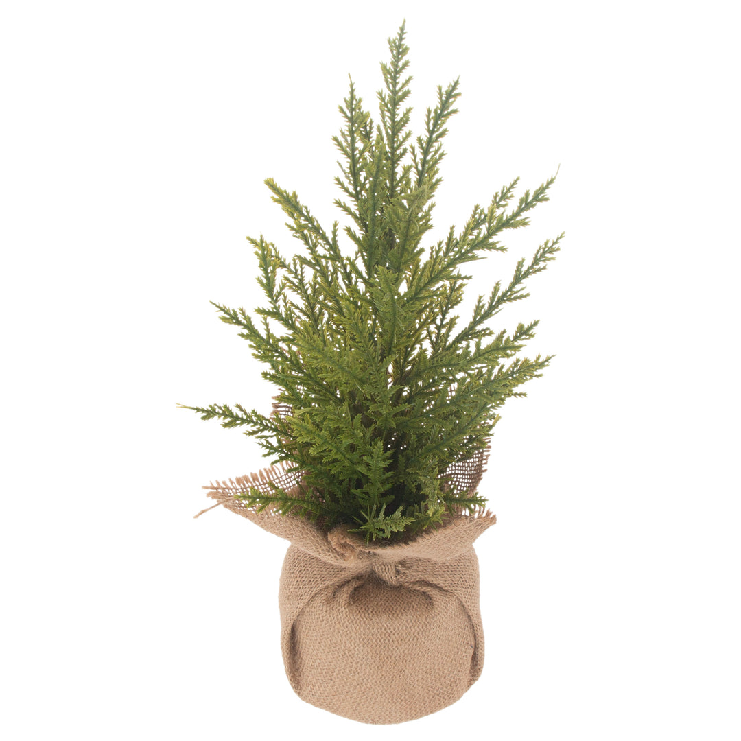Winter Fir Tree Small
