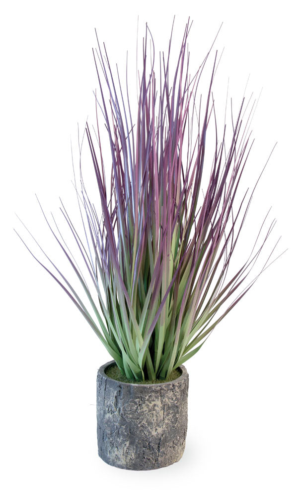 Hierba morada