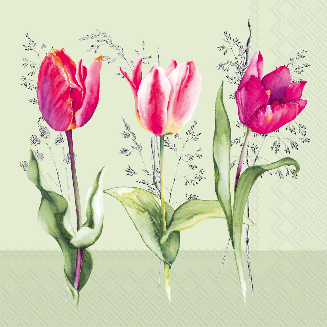 Tulip Beauties Light Green Cocktail Napkin