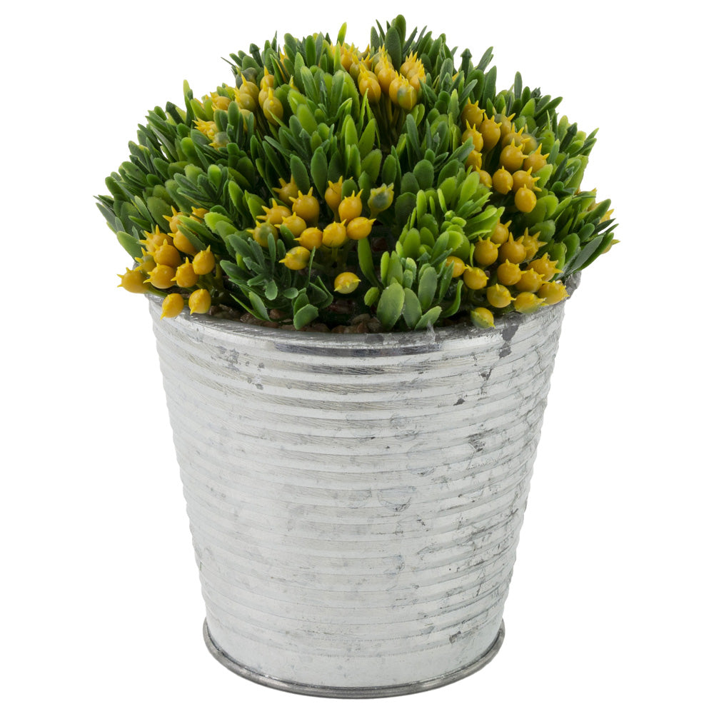Lata de metal para suculentas Yellow Bud