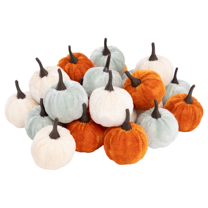 Mini Pumpkin Box Set of 24
