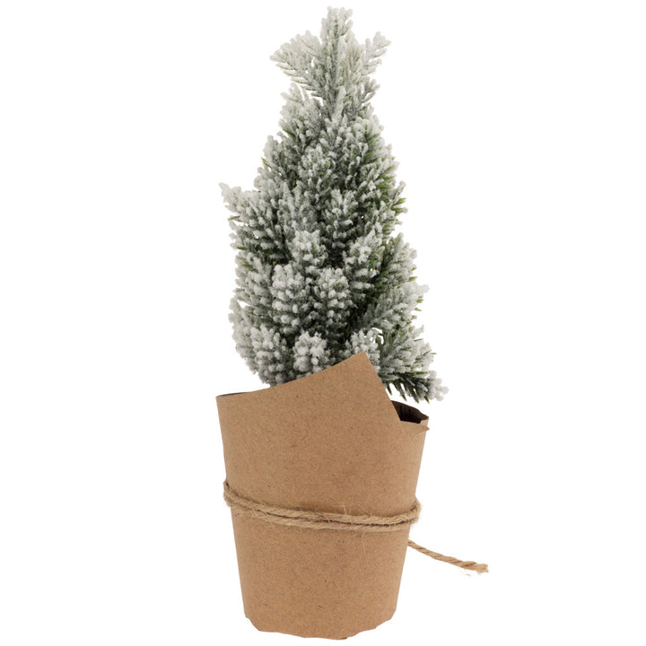 Mini Paper Pot Snowy Pine Tree  With Sisal Bow