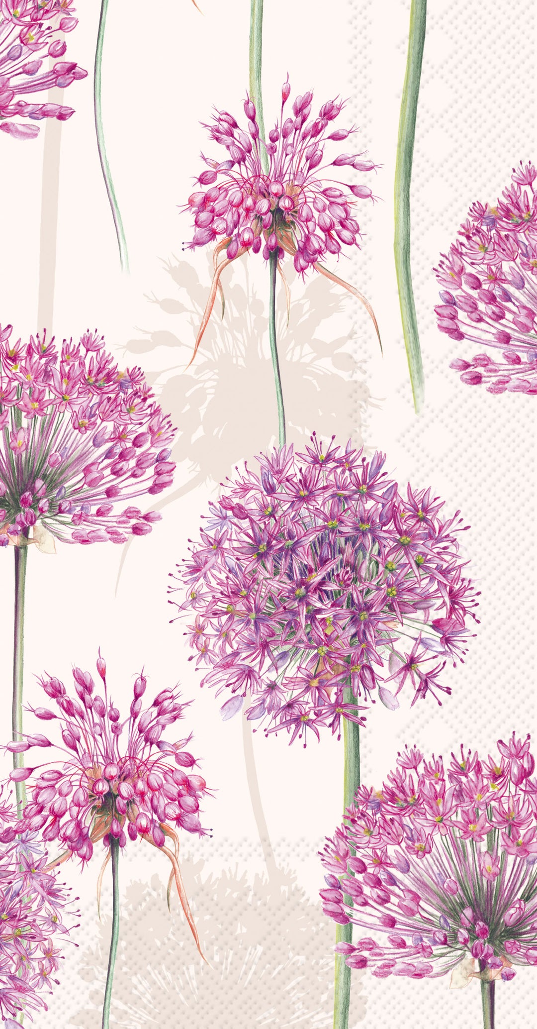 Toalla de invitados Allium Cream