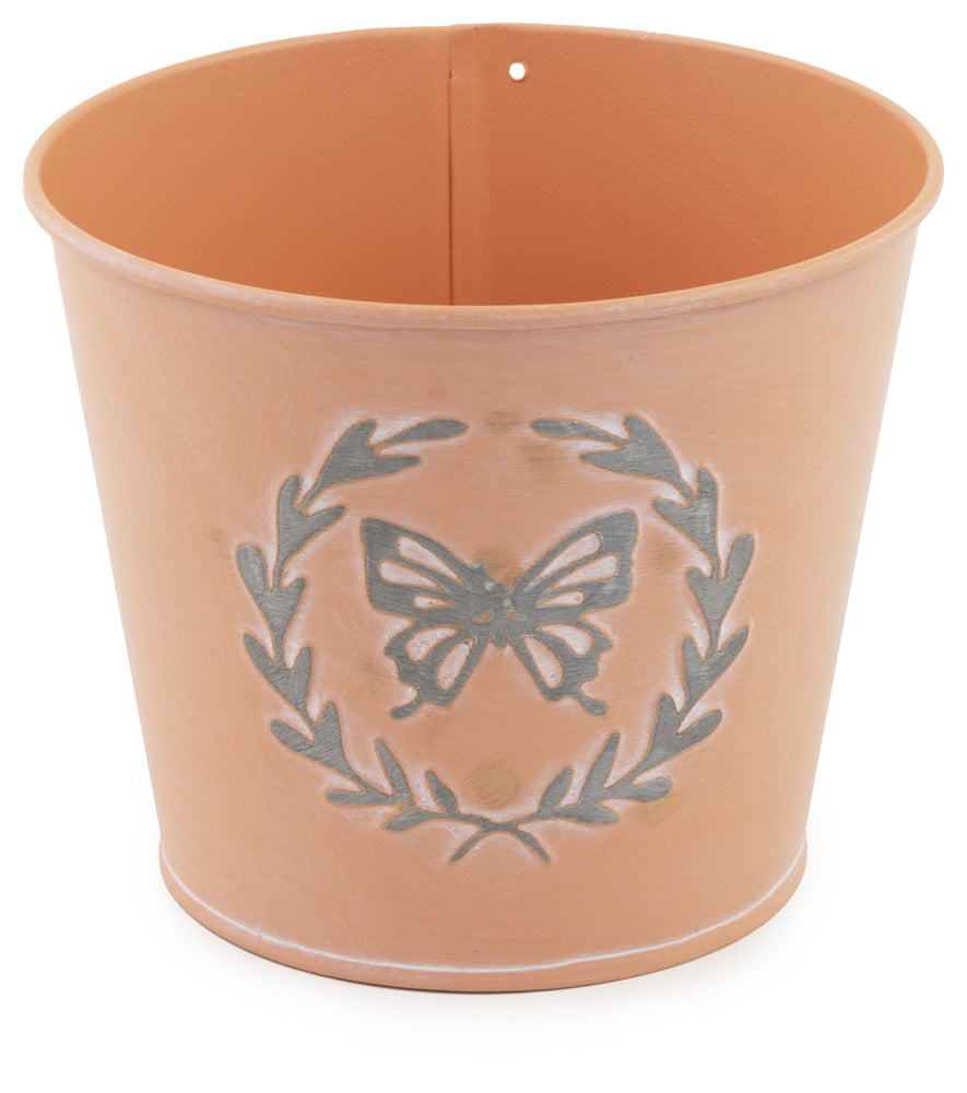 Cubo de mariposas de coral