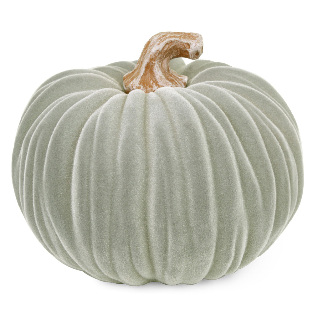 Calabaza grande de terciopelo gris