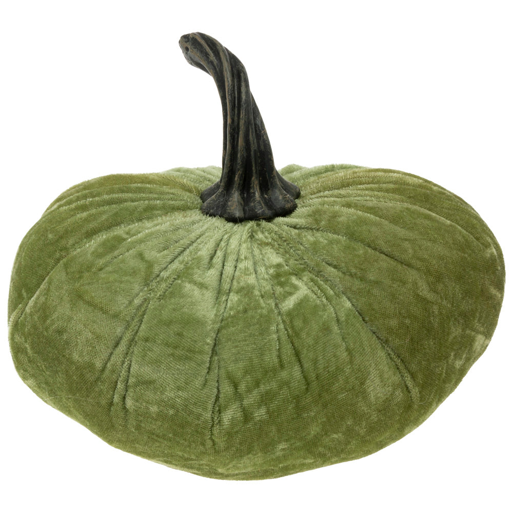 Cosecha de calabaza de terciopelo verde