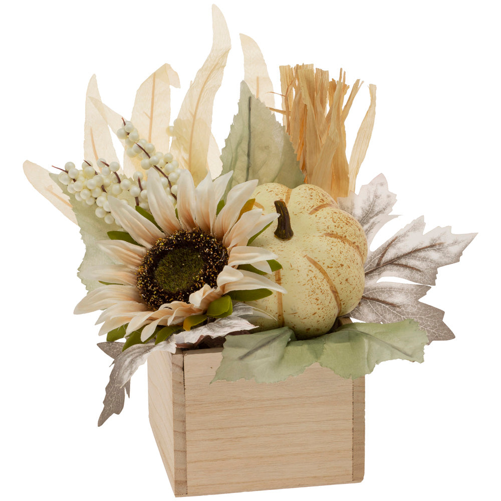 Caja de girasol blanco y calabaza