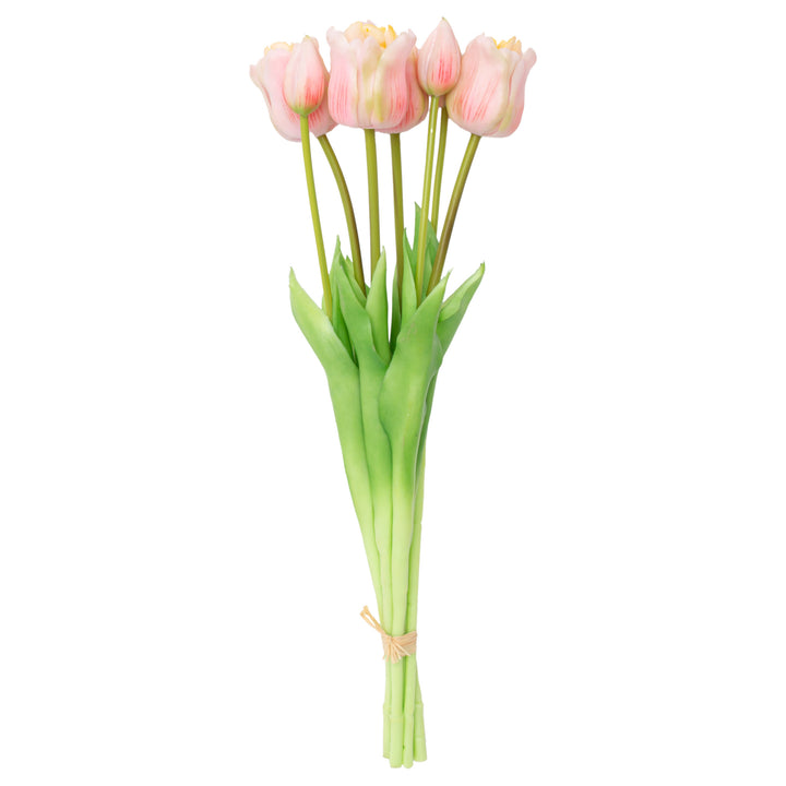 Long Stem Pink Tulips