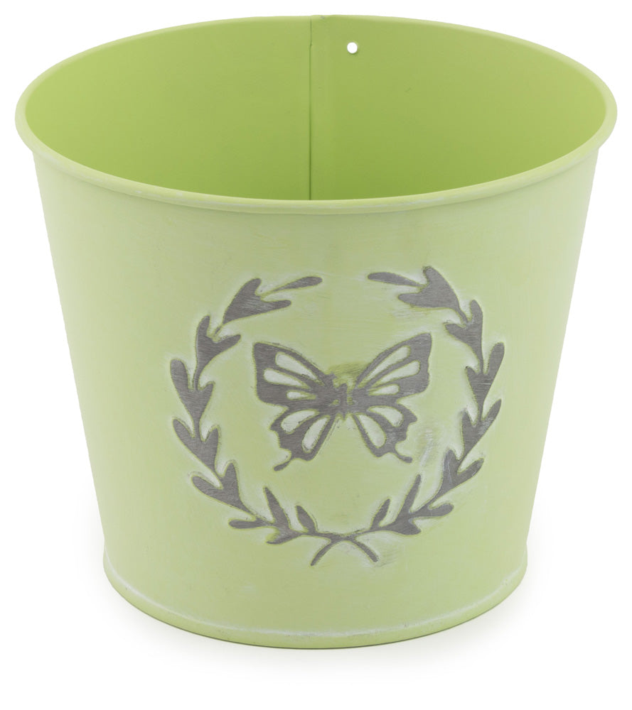 Cubo de mariposa verde