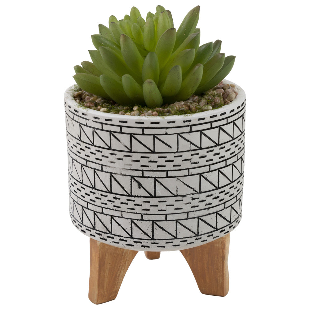Mini Echeveria Maceta Blanca y Negra