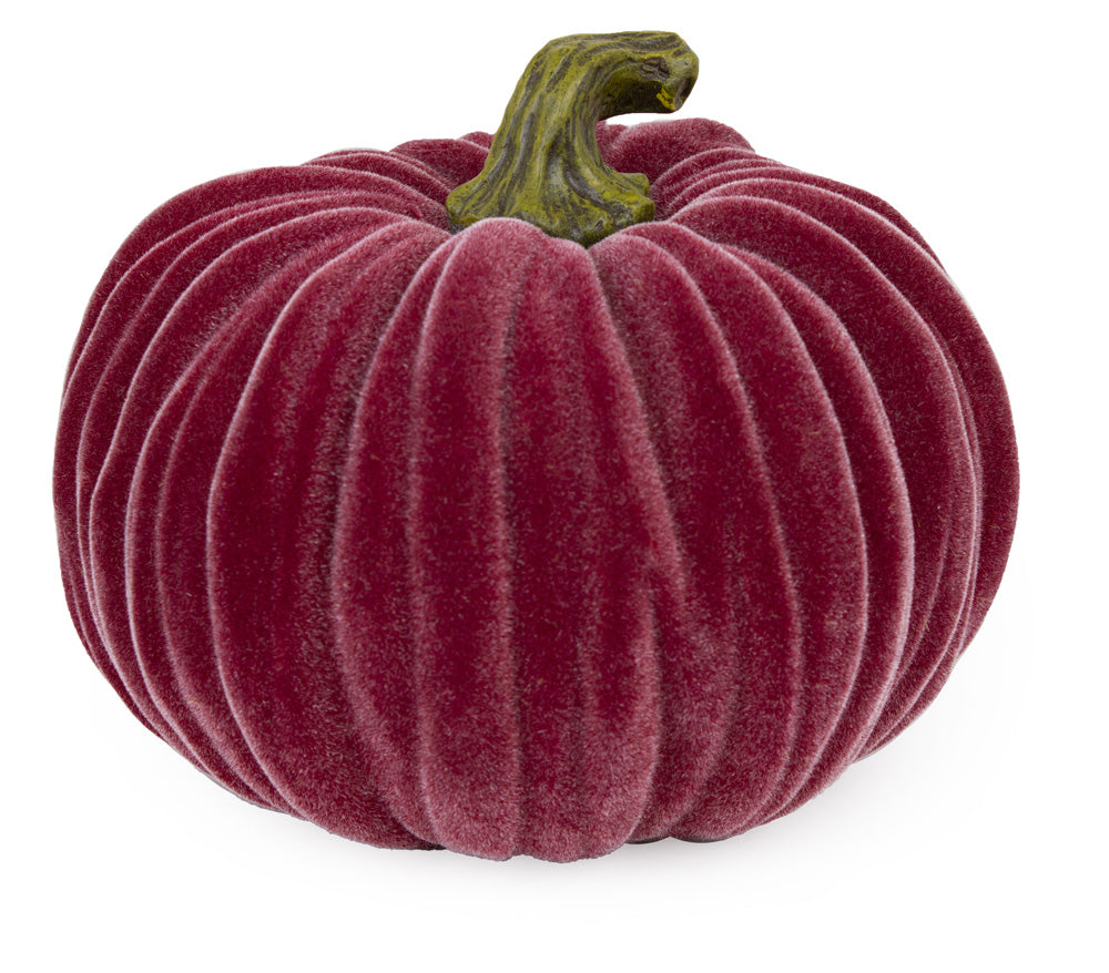 Calabaza grande de terciopelo burdeos