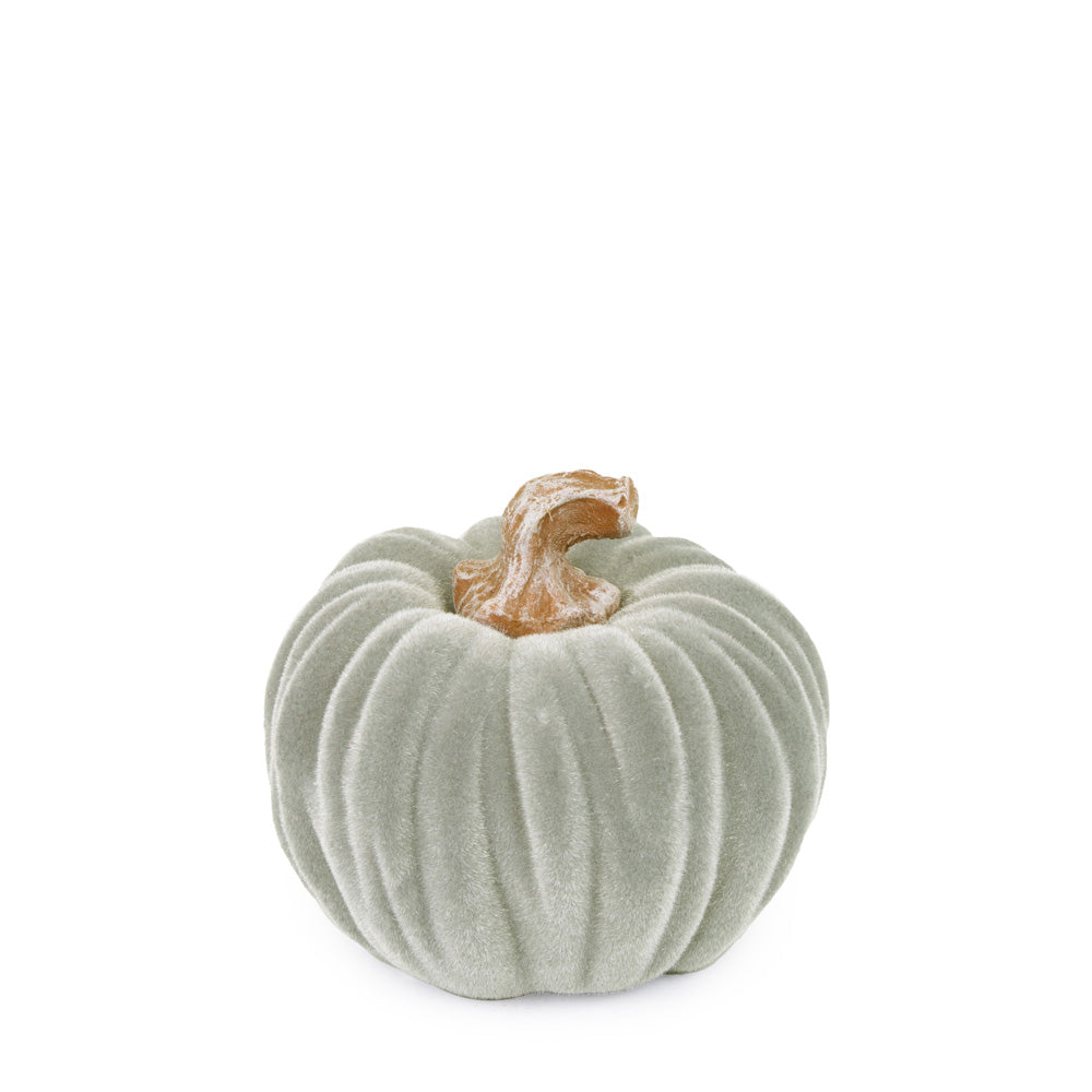 Calabaza pequeña de terciopelo gris