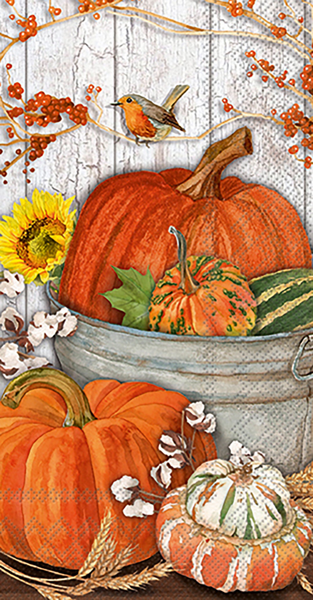 Es tiempo de calabaza