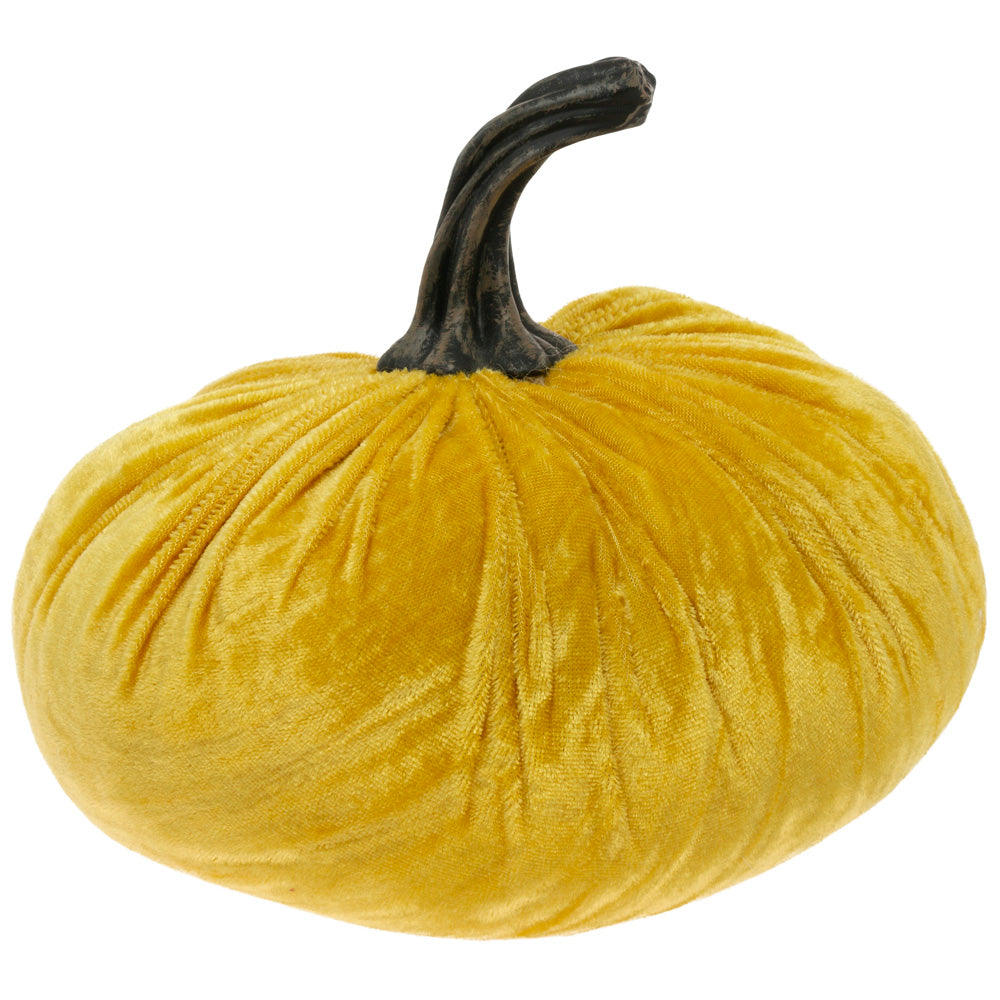 Cosecha de calabaza de terciopelo amarillo