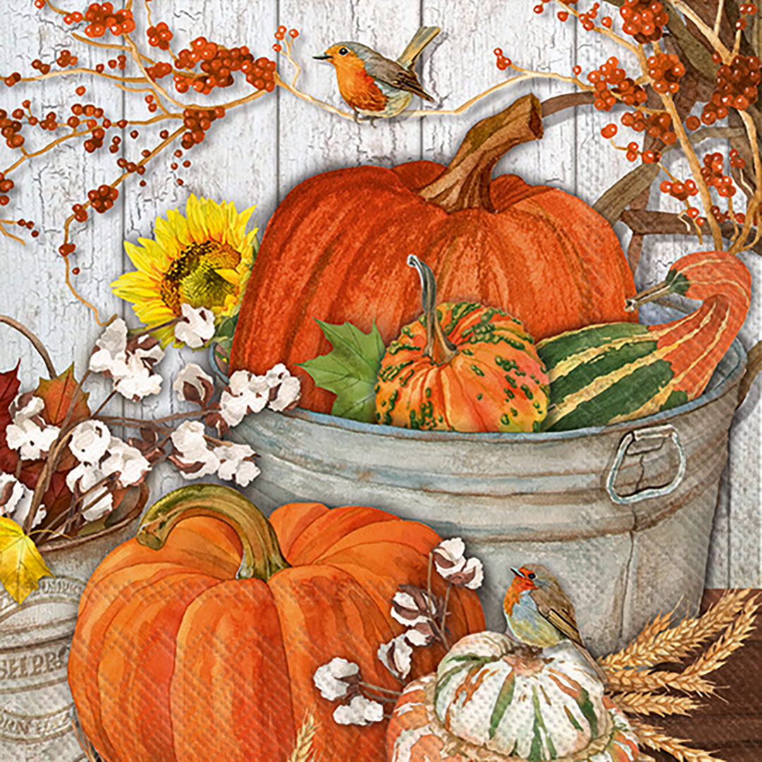 Es tiempo de calabaza